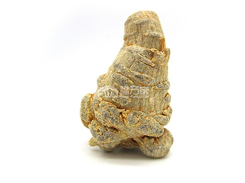 吃三七有助于長(zhǎng)高的說法到底對(duì)不對(duì)？