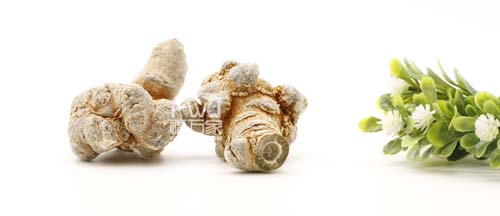 三七的種植受哪些因素影響？