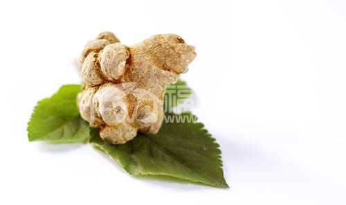 三七的效用有哪些？