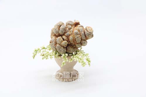 多少頭的三七最好？值得買嗎？