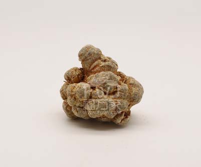 三七粉哪里的好？還能貨到付款！