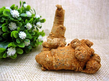 三七打粉選多大的好啊？