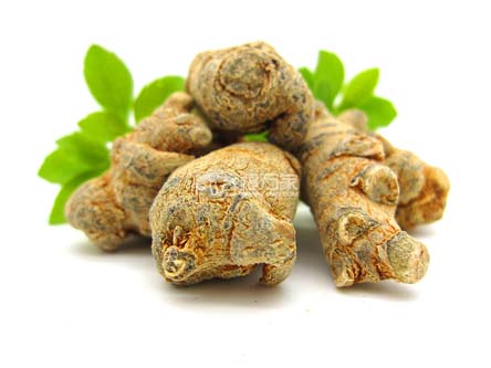 種植三七最高年限是多久？三七生長幾年