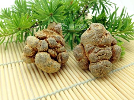 三七打粉前怎么處理？