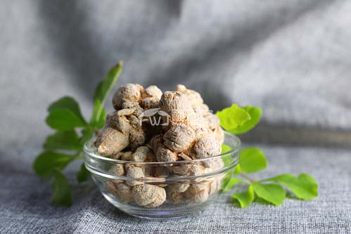 三七打粉前怎么處理？