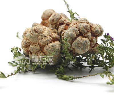 血脂高能不能喝三七粉？