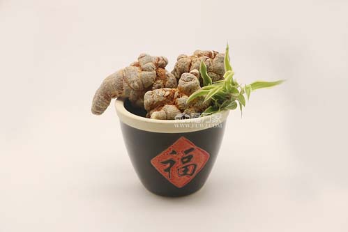 田七用量一次是多少？
