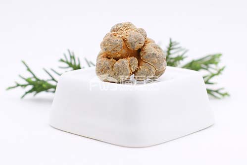 春三七好還是秋（冬）三七好？