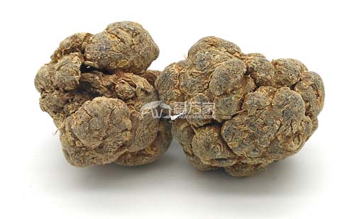 三七粉能和牛奶一起喝嗎？