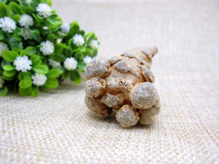 三七粉價(jià)格為什么差別這么大？