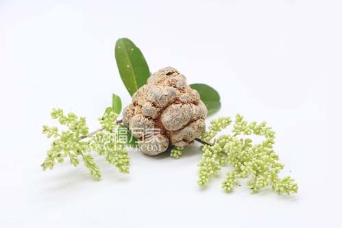 三七粉適合什么年齡的人群吃？