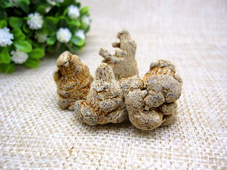 如何判斷三七的質(zhì)量、品質(zhì)的好壞？