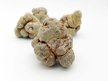 三七粉怎么買？