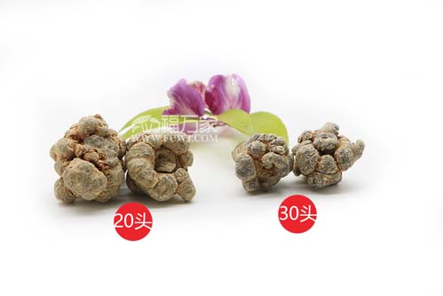 買三七送禮多少頭的最好？
