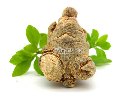 有文山牌三七？