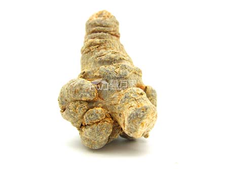 整個(gè)的三七