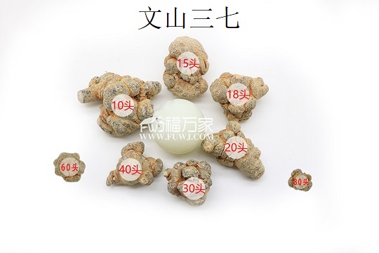 三七個頭大的頭數(shù)少