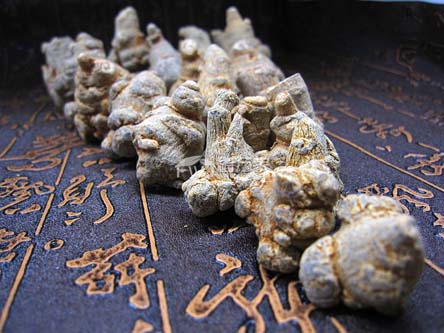 三七買哪里的